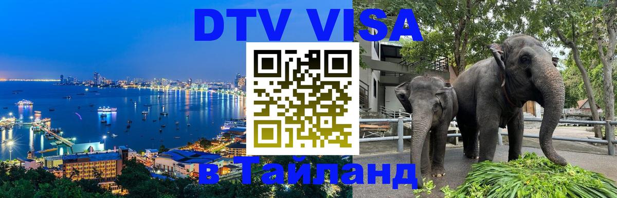 Оформление DTV визы под ключ: стоимость и тарифы, только загранпаспорт - 04.10.2025 